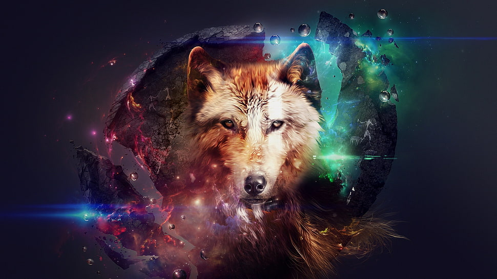 brown wolf illustration, artwork, wolf, planet, space HD wallpaper