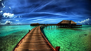 wooden dock under blue sky during daytime