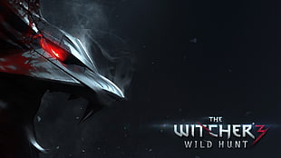 The Witcher Wild Hunt 9 poster HD wallpaper