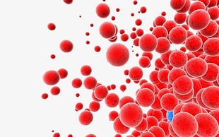 round red cells clip art, bubbles, red, blue, digital art HD wallpaper