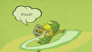 The Legend of Zelda Link character, The Legend of Zelda, Link, video games