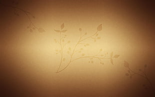 Background,  Light,  Patterns,  Lines