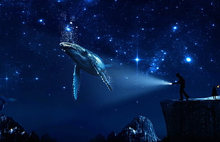 whale shark digital wallpaper, fantasy art, digital art HD wallpaper