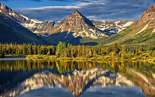 blue body of water near green trees and mountains