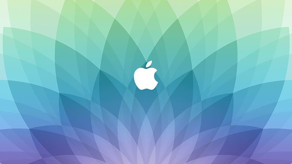 Apple log HD wallpaper