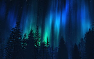  HD wallpaper