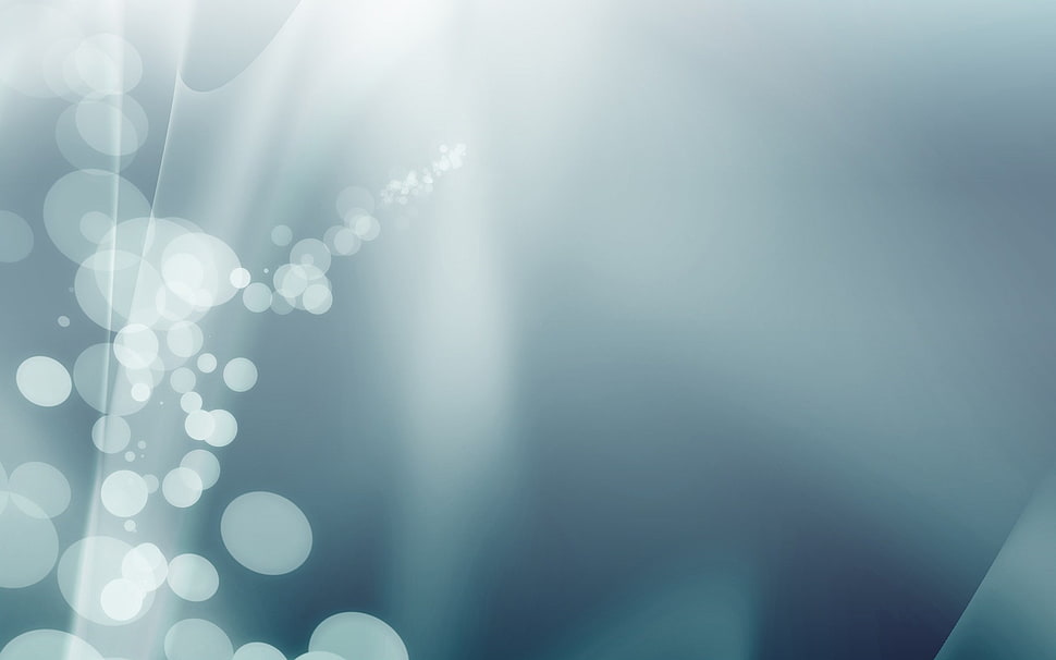 bokeh photography HD wallpaper