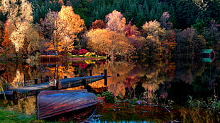 brown row boat, nature, water, reflection, lake
