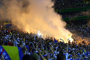 yellow and blue flag, fans, crowds, Bosnia and Herzegovina