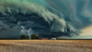 lightning struck on land digital wallpaper, nature, landscape, trees, clouds