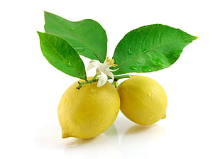 two lemons HD wallpaper