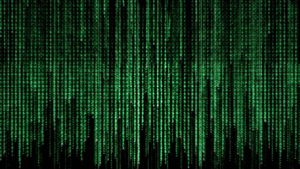 matrix language, code, The Matrix, green, movies HD wallpaper