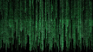 matrix language, code, The Matrix, green, movies