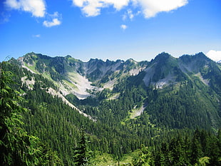 photo of mountain alps during daytime, olympic national park HD wallpaper