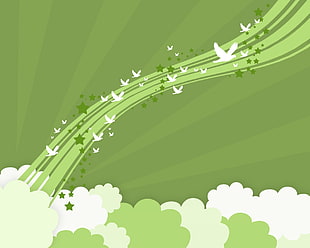 green and white birds and star background