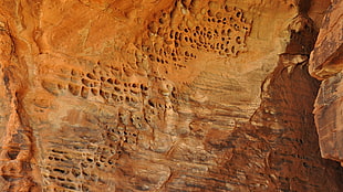 gran canyon HD wallpaper
