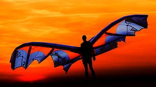 silhouette photography of man with purple wings, sky, men, sunlight, silhouette