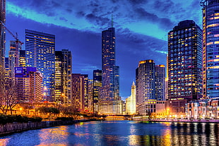 landscape photography of city lights HD wallpaper