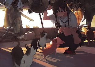 three cat illustration, anime girls, cat, animals, artwork HD wallpaper
