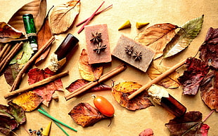 autumn leaves and accessories HD wallpaper