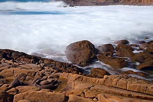 sea waves photography HD wallpaper