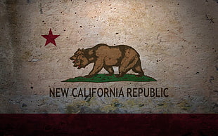 brown and white wooden wall decor, Fallout, flag, Fallout: New Vegas, New California Republic