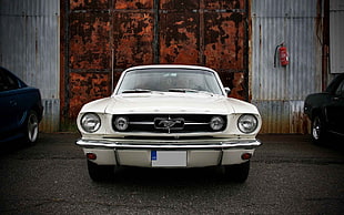 white Ford Mustang, car, muscle cars, Ford Mustang
