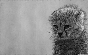 black and gray kitten painting, animals