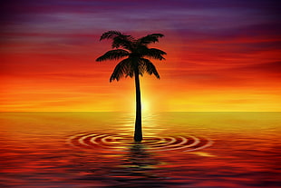 silhouette of coconut tree graphic wallpaper
