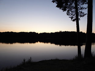 silhouette of trees, Norway, lake, night, water
