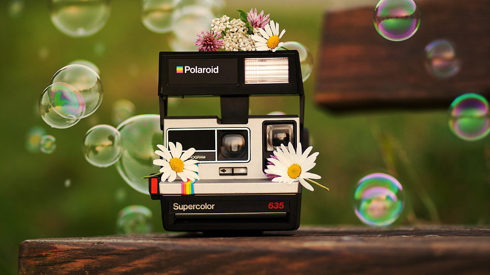 black Polaroid land camera, camera, bubbles, flowers HD wallpaper