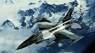 gray and black fighting plane, military, General Dynamics F-16 Fighting Falcon, Alaska