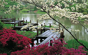 garden and maze dock above body of water