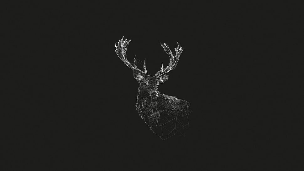 grayscale illustration of reindeer HD wallpaper