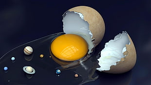 Eggwhite and Yolk with brown shell photography