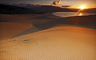 Sahara Desert during gold hour HD wallpaper