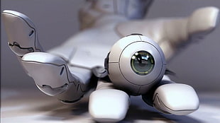 round gray robotic eye