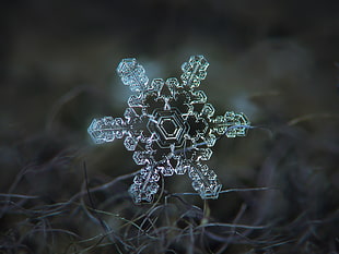 photography of crustal snowflake