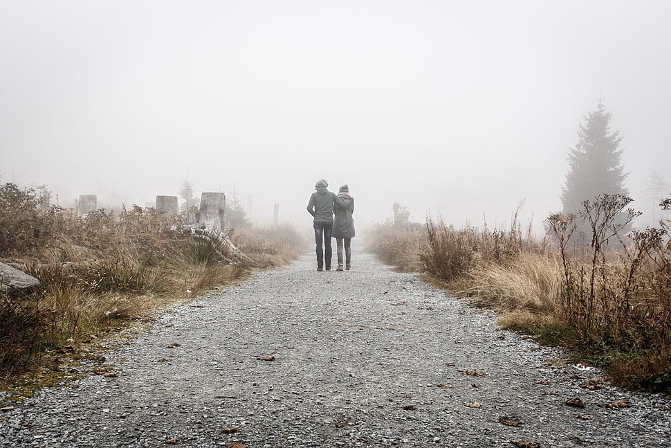 photo of couple wearing grey coat walking through broad path HD wallpaper