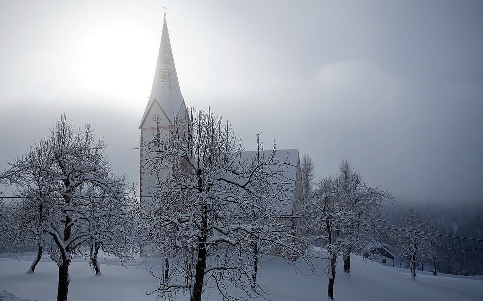 photo of cathedral during winter season HD wallpaper