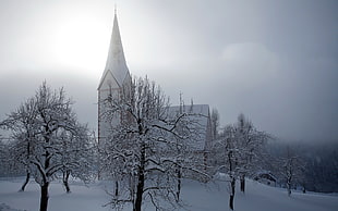 photo of cathedral during winter season