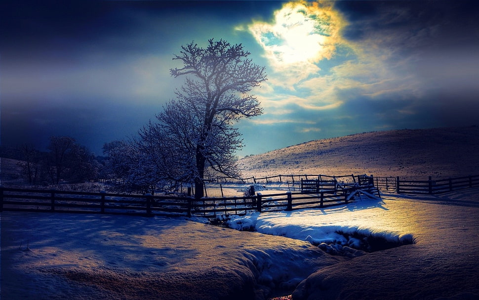 brown wooden fence, nature, landscape, moonlight, winter HD wallpaper