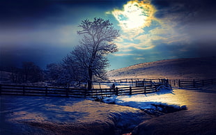 brown wooden fence, nature, landscape, moonlight, winter