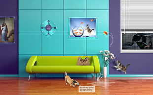 green and blue wooden 3-layer shelf, humor, cat, dog, clocks