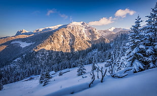 snowfield, nature, landscape, winter, snow HD wallpaper