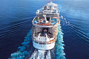 white cruise ship, sea, cruise ship, ship HD wallpaper