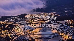 blue and white floral textile, terraced field, rice paddy