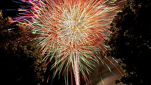 fireworks display during nighttime HD wallpaper