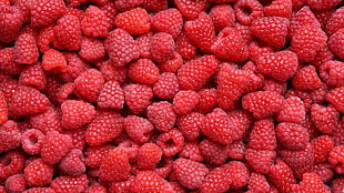 photo of ripe strawberry lot HD wallpaper