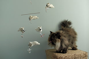 brown and black Persian Cat; white ceramic wind chime